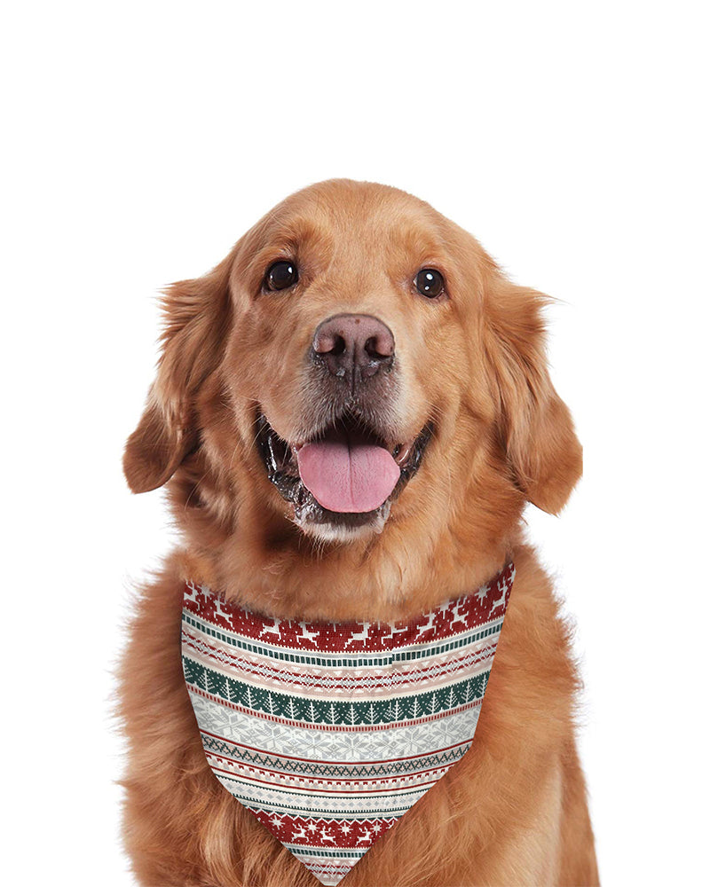 Cocoa Cuddles-Family Matching Christmas Pajamas